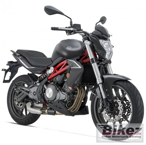 benelli bn 302r